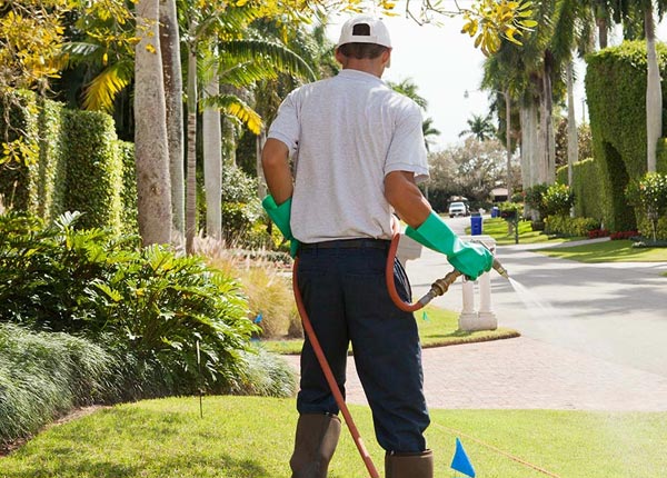 About Lake Delton WI Pest Control Pros